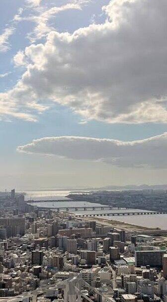 俄罗斯世界杯球场草皮-俄罗斯世界杯球场草皮，科技与自然融合的绿茵传奇